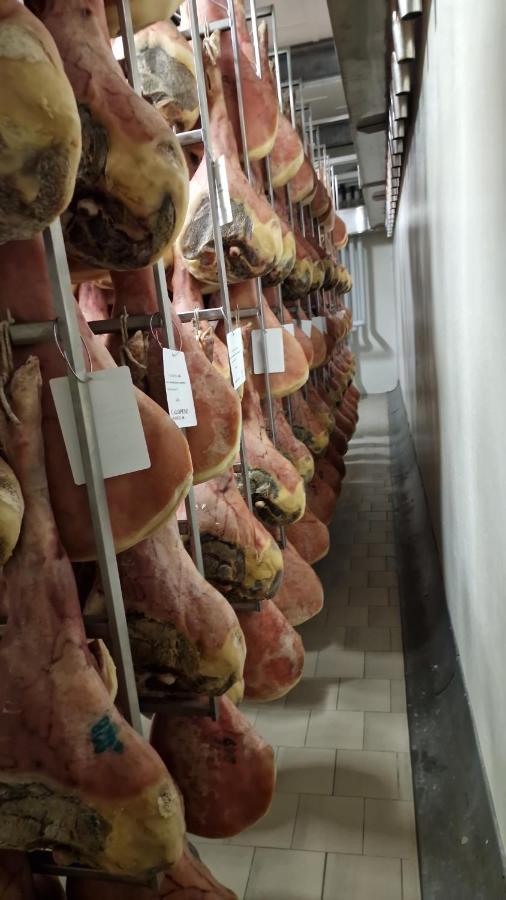 B&B Borgo Tesis Spilimbergo Bagian luar foto